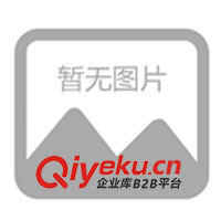 09年春夏休閑情侶裝，運(yùn)動時尚裝，征全國各地批發(fā)商